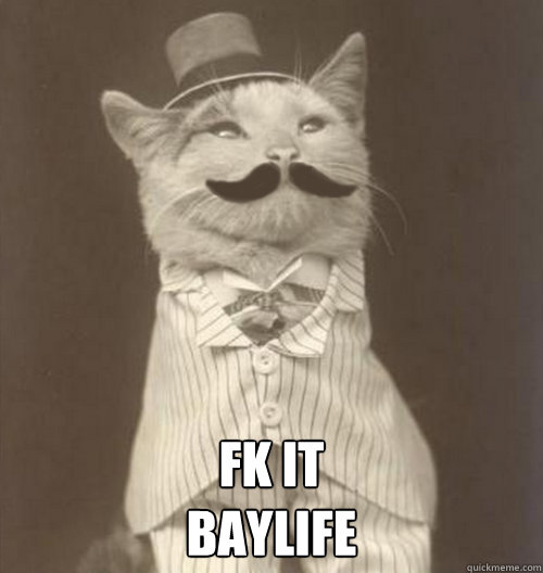  Fk it
Baylife  Original Business Cat