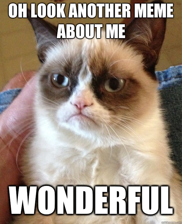 Oh look another meme about me Wonderful  Grumpy Cat