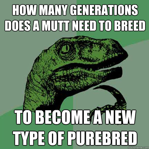 How many generations does a mutt need to breed to become a new type of purebred  Philosoraptor