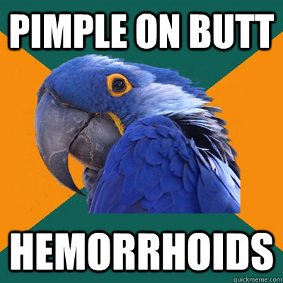 Pimple on butt hemorrhoids - Pimple on butt hemorrhoids  Paranoid Parrot