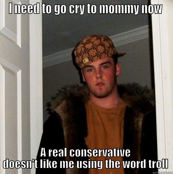 Cry to mommy now - I NEED TO GO CRY TO MOMMY NOW A REAL CONSERVATIVE DOESN'T LIKE ME USING THE WORD TROLL Scumbag Steve