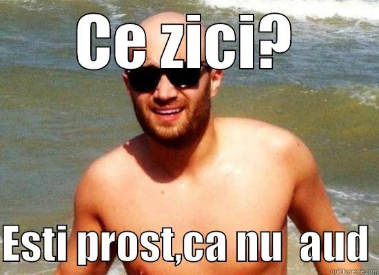 ewrfwer funny - CE ZICI?  ESTI PROST,CA NU  AUD Misc