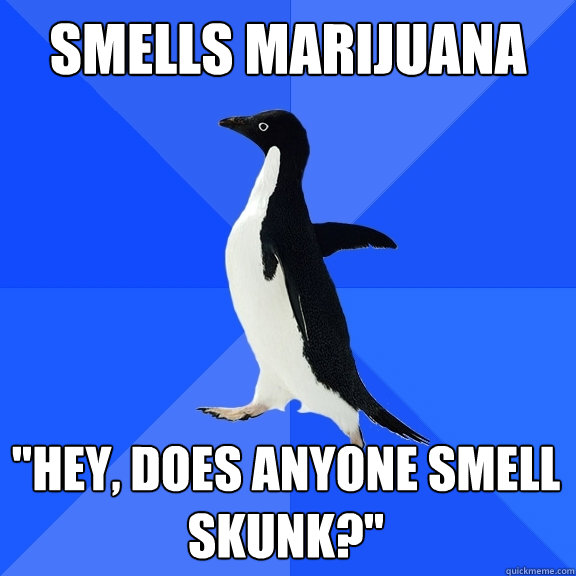 Smells marijuana 