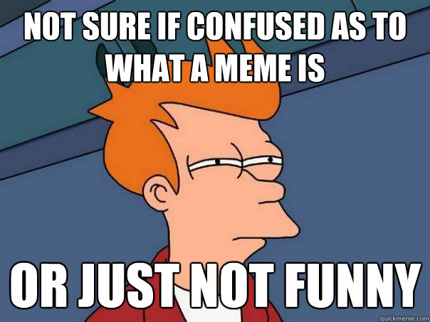 Not sure if confused as to what a meme is Or just not funny  Futurama Fry