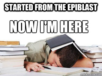 Started from the Epiblast Now I'm here - Started from the Epiblast Now I'm here  Studying