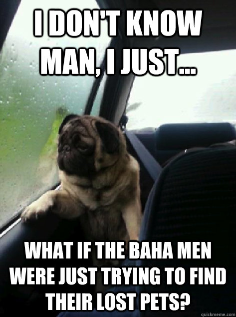 I don't know man, I just... What if the baha men were just trying to find their lost pets?  Introspective Pug