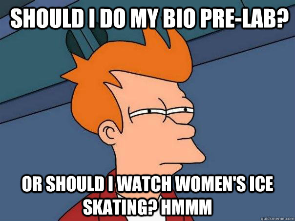  should I do my bio pre-lab? Or should i watch women's ice skating? hmmm -  should I do my bio pre-lab? Or should i watch women's ice skating? hmmm  Futurama Fry