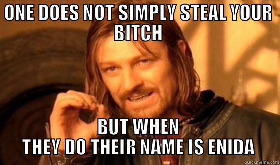 ONE DOES NOT SIMPLY STEAL YOUR BITCH BUT WHEN THEY DO THEIR NAME IS ENIDA Boromir