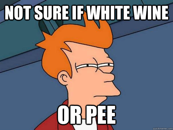 Not sure if white wine Or pee  Futurama Fry