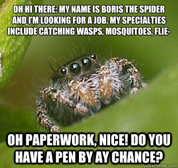 Oh hi there: My name is Boris the Spider and I’m looking for a job. My specialties include catching wasps, mosquitoes, flie- Oh paperwork, nice! Do you have a pen by ay chance? - Oh hi there: My name is Boris the Spider and I’m looking for a job. My specialties include catching wasps, mosquitoes, flie- Oh paperwork, nice! Do you have a pen by ay chance?  Misunderstood Spider