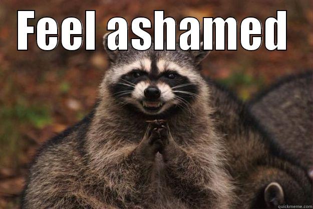 FEEL ASHAMED  Evil Plotting Raccoon