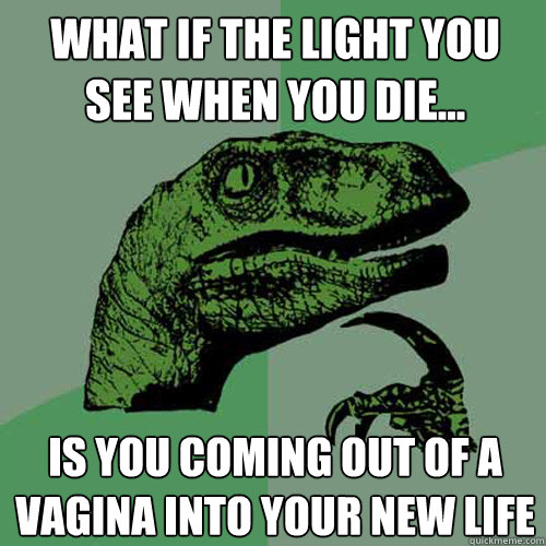 What if the light you see when you die... Is you coming out of a vagina into your new life  Philosoraptor