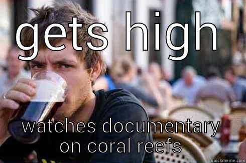 so I have a paper due on the Great Barrier Reef - GETS HIGH WATCHES DOCUMENTARY ON CORAL REEFS Lazy College Senior