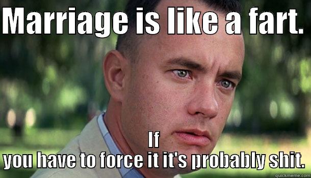 MARRIAGE IS LIKE A FART.  IF YOU HAVE TO FORCE IT IT'S PROBABLY SHIT. Offensive Forrest Gump