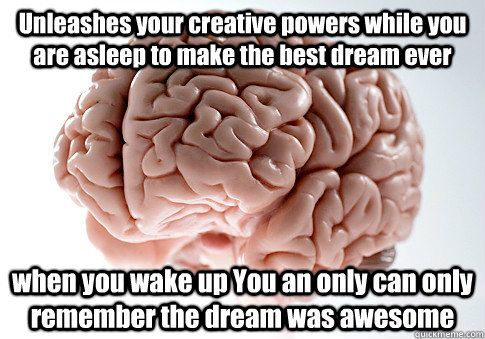 Unleashes your creative powers while you are asleep to make the best dream ever when you wake up You an only can only remember the dream was awesome  Scumbag Brain