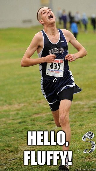  Hello, fluffy!  Freshman Cross Country Runner