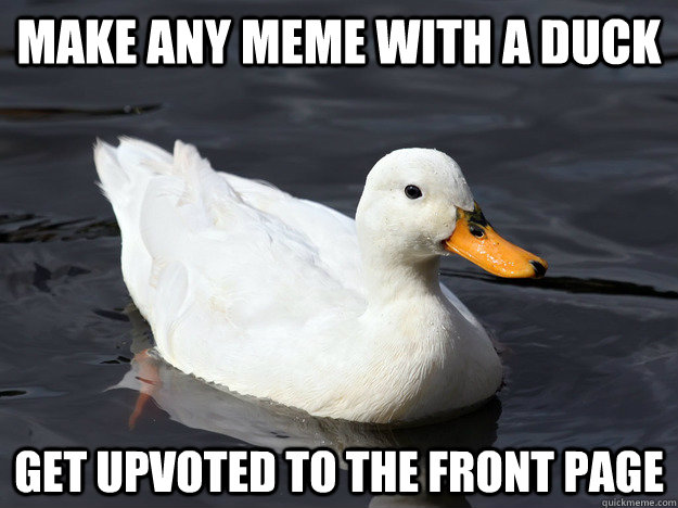 Make any meme with a duck get upvoted to the front page - Misc - quickmeme