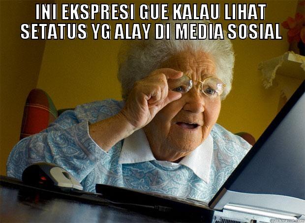 INI EKSPRESI GUE KALAU LIHAT SETATUS YG ALAY DI MEDIA SOSIAL  Grandma finds the Internet