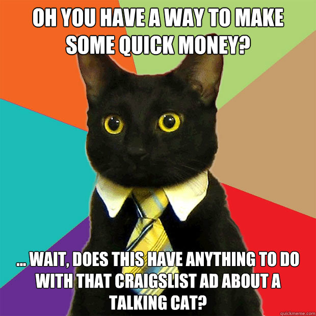 Oh you have a way to make some quick money? ... wait, does this have anything to do with that craigslist ad about a talking cat?  Business Cat