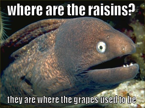 WHERE ARE THE RAISINS? THEY ARE WHERE THE GRAPES USED TO BE Bad Joke Eel