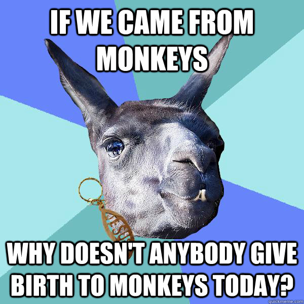 If we came from monkeys Why doesn't anybody give birth to monkeys today?  Christian Mama Llama