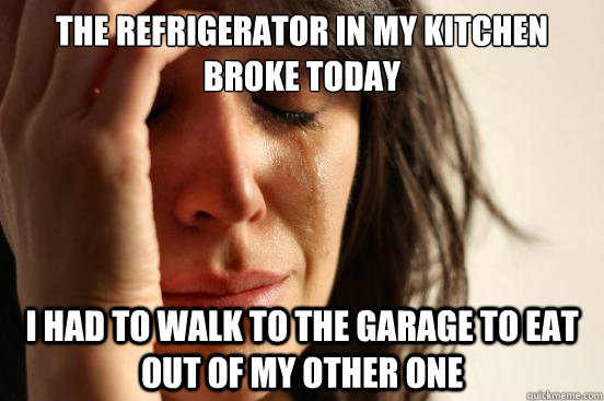 the refrigerator in my kitchen broke today I had to walk to the garage to eat out of my other one - the refrigerator in my kitchen broke today I had to walk to the garage to eat out of my other one  First World Problems