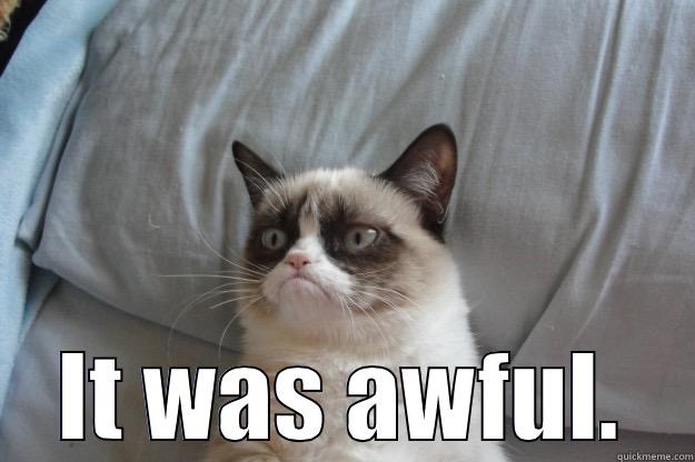  IT WAS AWFUL. Grumpy Cat