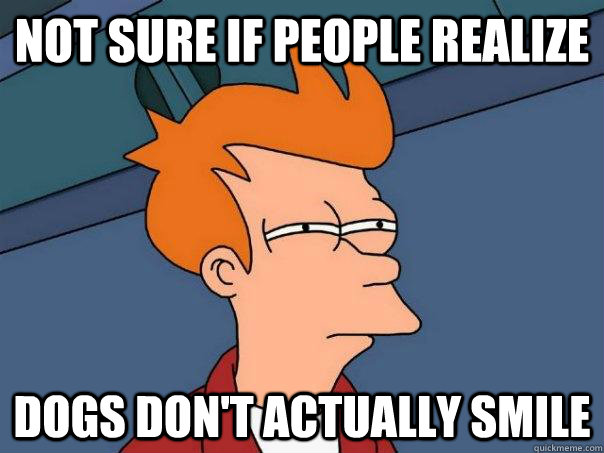 Not sure if people realize Dogs don't actually smile  Futurama Fry