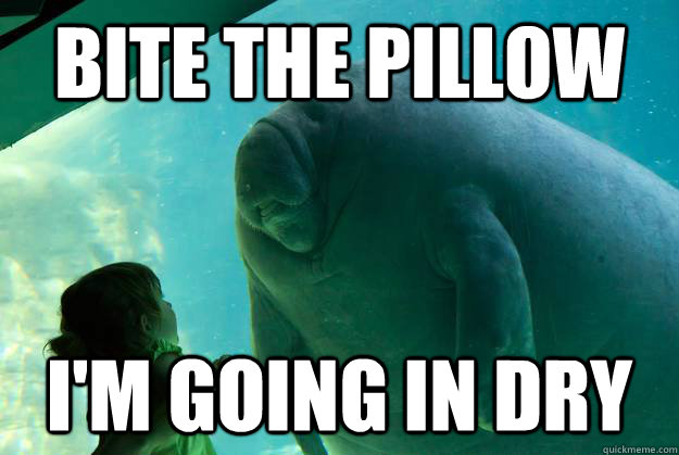 Bite the pillow I'm going in dry  Overlord Manatee