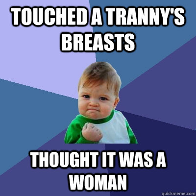 Touched a tranny's breasts thought it was a woman - Touched a tranny's breasts thought it was a woman  Success Kid