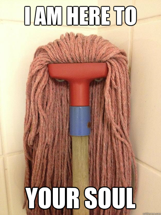 I am here to clean YOUR SOUL  Insanity Mop