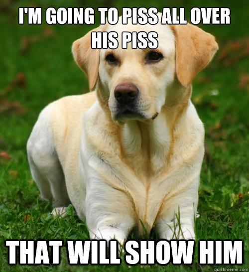 I'm going to piss all over his piss That will show him  Dog Logic