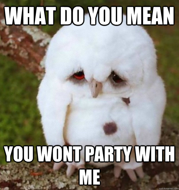 What do you mean you wont party with me - What do you mean you wont party with me  sad owl no party