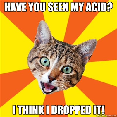 HAVE YOU SEEN MY ACID? I THINK I DROPPED IT!  Bad Advice Cat