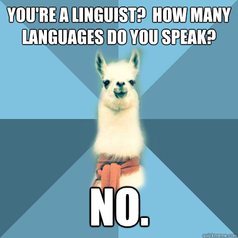 You're a linguist?  How many languages do you speak? NO.  Linguist Llama