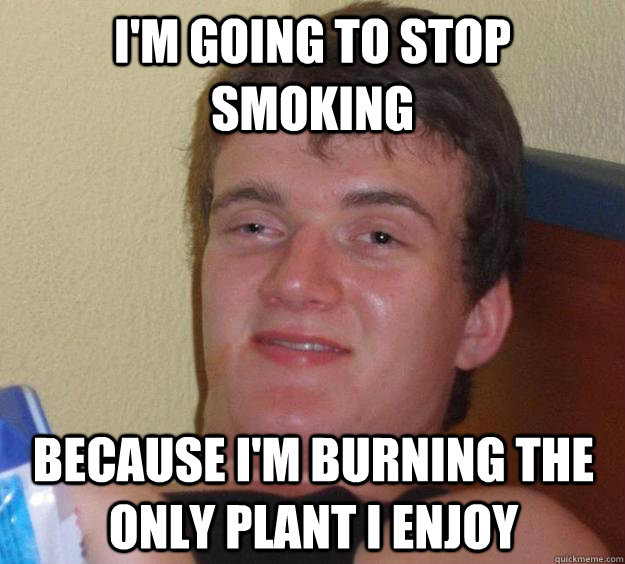 I'm going to stop smoking because i'm burning the only plant i enjoy - I'm going to stop smoking because i'm burning the only plant i enjoy  10 Guy