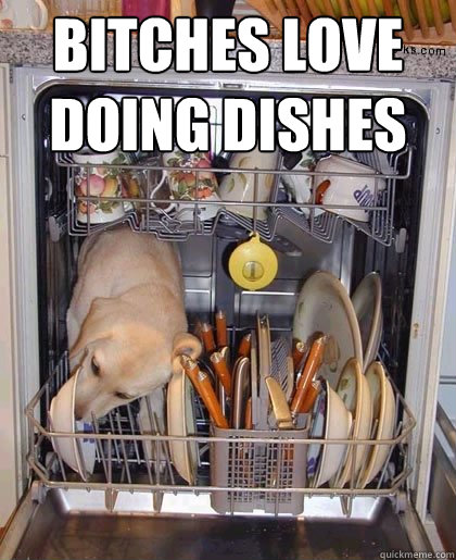 Bitches love doing dishes - Bitches love doing dishes  bitches love doing dishes