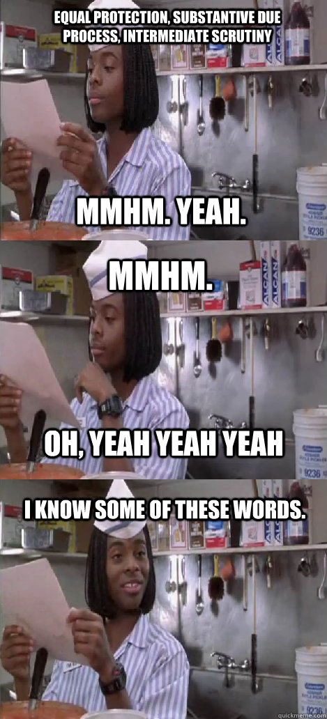 mmhm. yeah. mmhm.  I know some of these words. oh, yeah yeah yeah Equal protection, substantive due process, intermediate scrutiny  Oblivious Good Burger