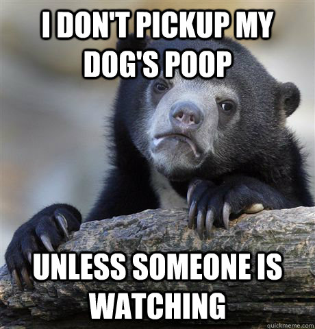 I don't pickup my dog's poop unless someone is watching  Confession Bear