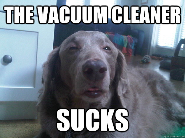 The vacuum cleaner sucks  10 Dog