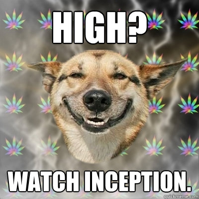 High? Watch inception.  Stoner Dog