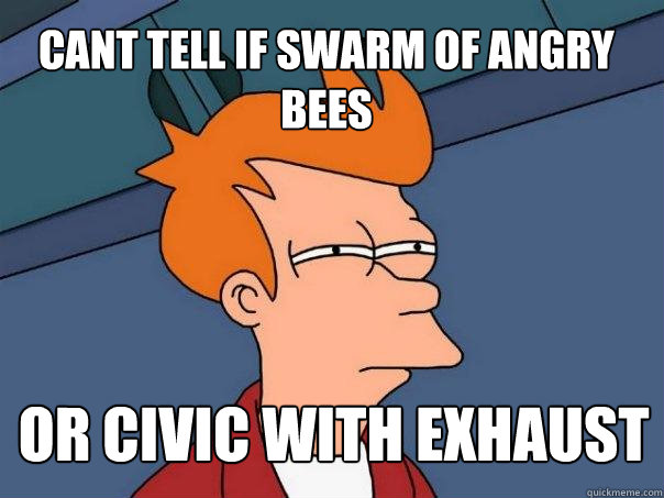 Cant tell if swarm of angry bees or civic with exhaust  Futurama Fry