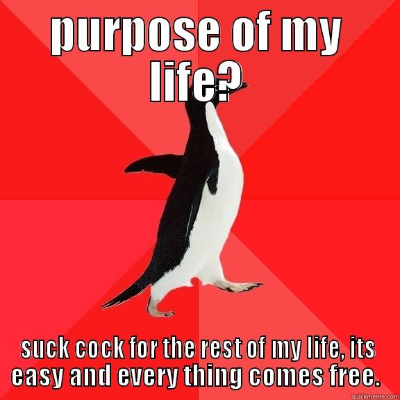 PURPOSE OF MY LIFE? SUCK COCK FOR THE REST OF MY LIFE, ITS EASY AND EVERY THING COMES FREE.  Socially Awesome Penguin