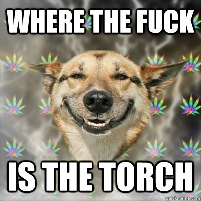 WHERE THE FUCK IS THE TORCH  Stoner Dog