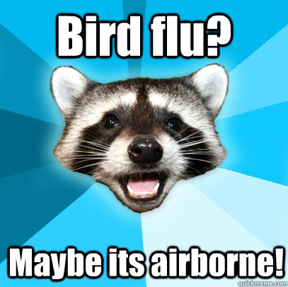 Bird flu? Maybe its airborne! - Bird flu? Maybe its airborne!  Lame Pun Coon