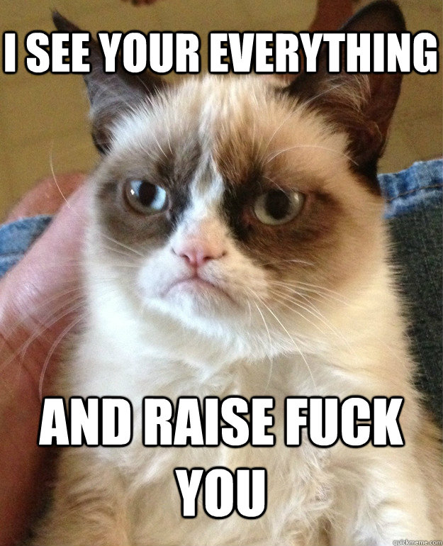 I see your everything and raise fuck you  Grumpy Cat