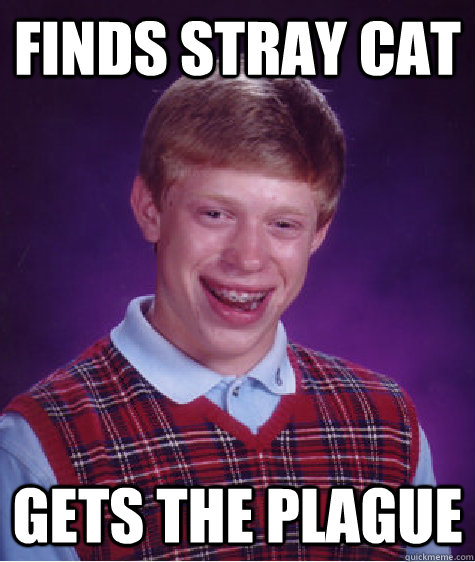 Finds stray cat gets the plague  Bad Luck Brian