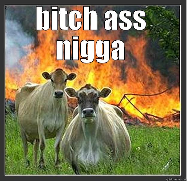 BITCH ASS NIGGA  Evil cows