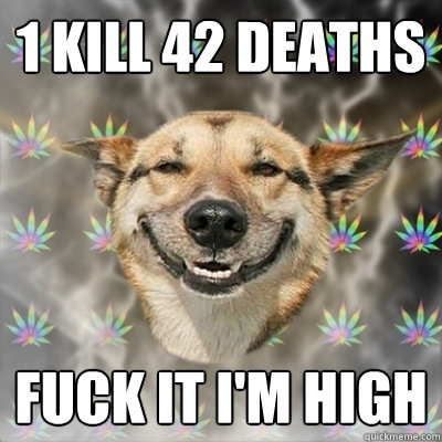 1 kill 42 deaths fuck it i'm high  Stoner Dog