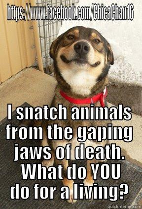 what do you do for a living? - HTTPS://WWW.FACEBOOK.COM/CHICACHAN16 I SNATCH ANIMALS FROM THE GAPING JAWS OF DEATH.  WHAT DO YOU DO FOR A LIVING? Good Dog Greg